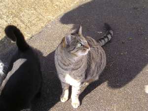 Grosses bild anzeigen 060306-1 072.jpg